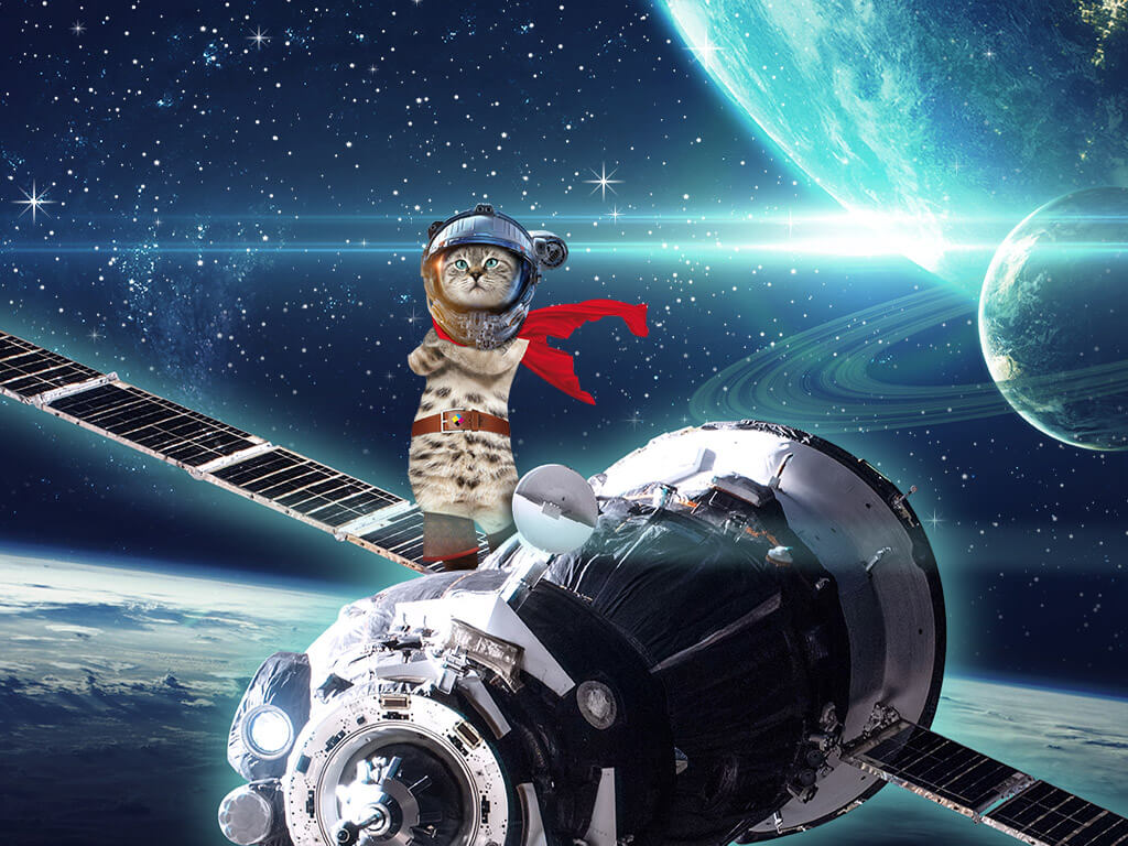 Un chat debout sur une fusée dans l'espace
